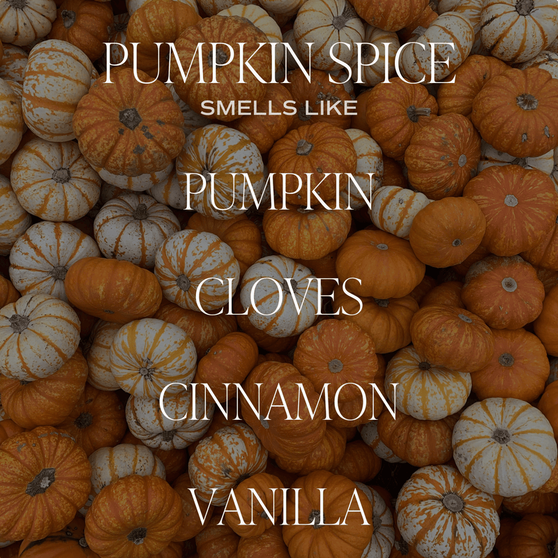 *NEW* Pumpkin Spice Reed Diffuser - Fall Decor & Gifts