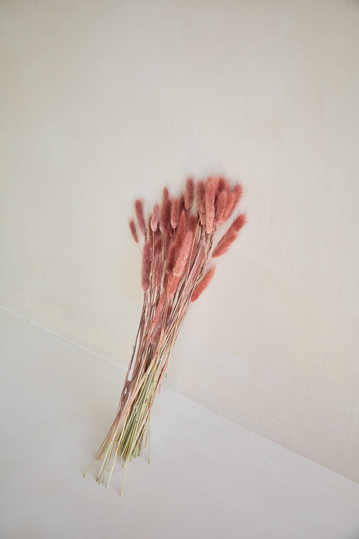 Bunny Tails in Burgundy