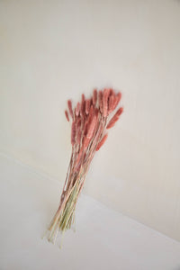 Bunny Tails in Burgundy