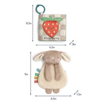 Itzy Learn & Snuggle Gift Set