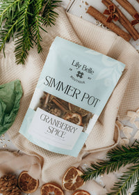 Cranberry Spice Simmer Pot