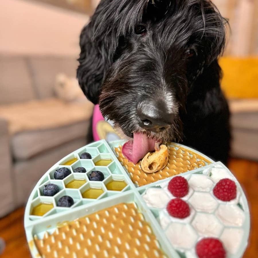 Seasonal Drop Sweetheart Snack (V-Day)  Buddy Budder