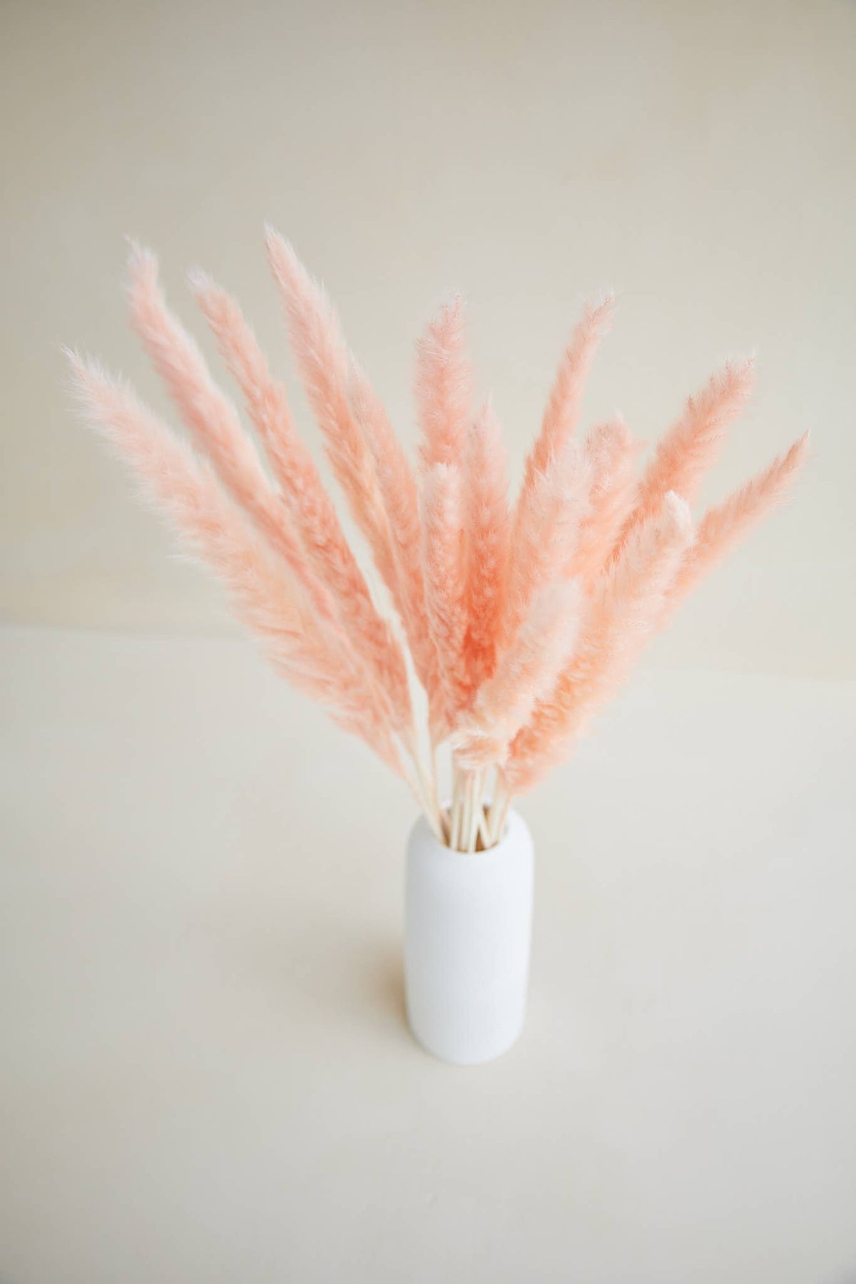 Small Pampas in Light Pink