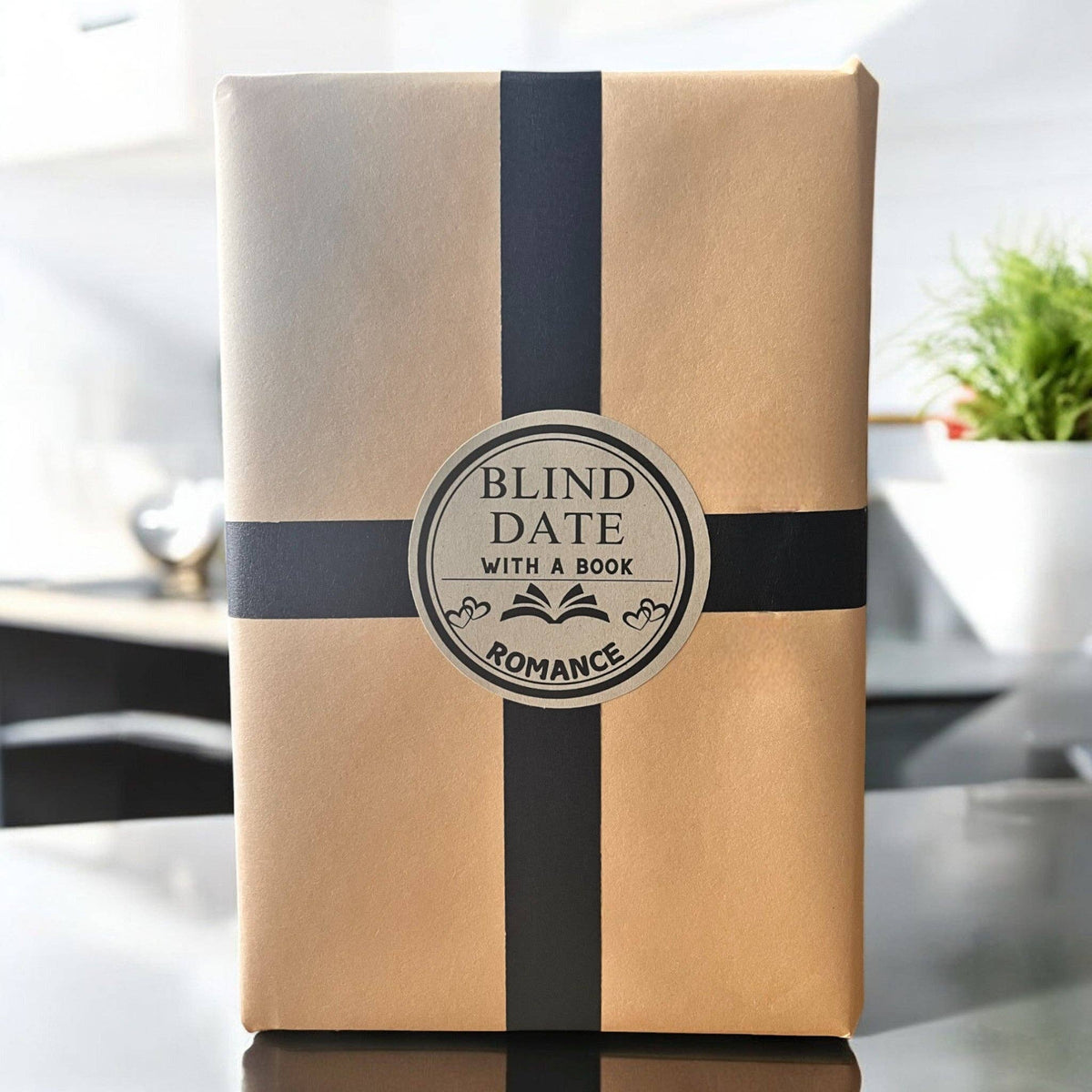Blind Date with a Book | A Bookish Gift Adventure: Paperback / Thriller & Suspense