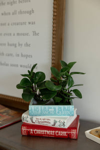 Stacked Book Planter, A Christmas Carol