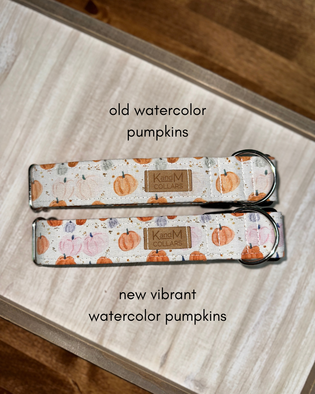 Watercolor Pumpkins Dog Collar