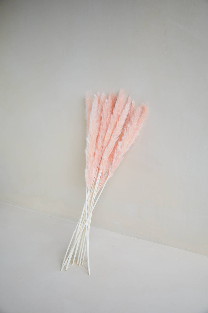 Small Pampas in Light Pink