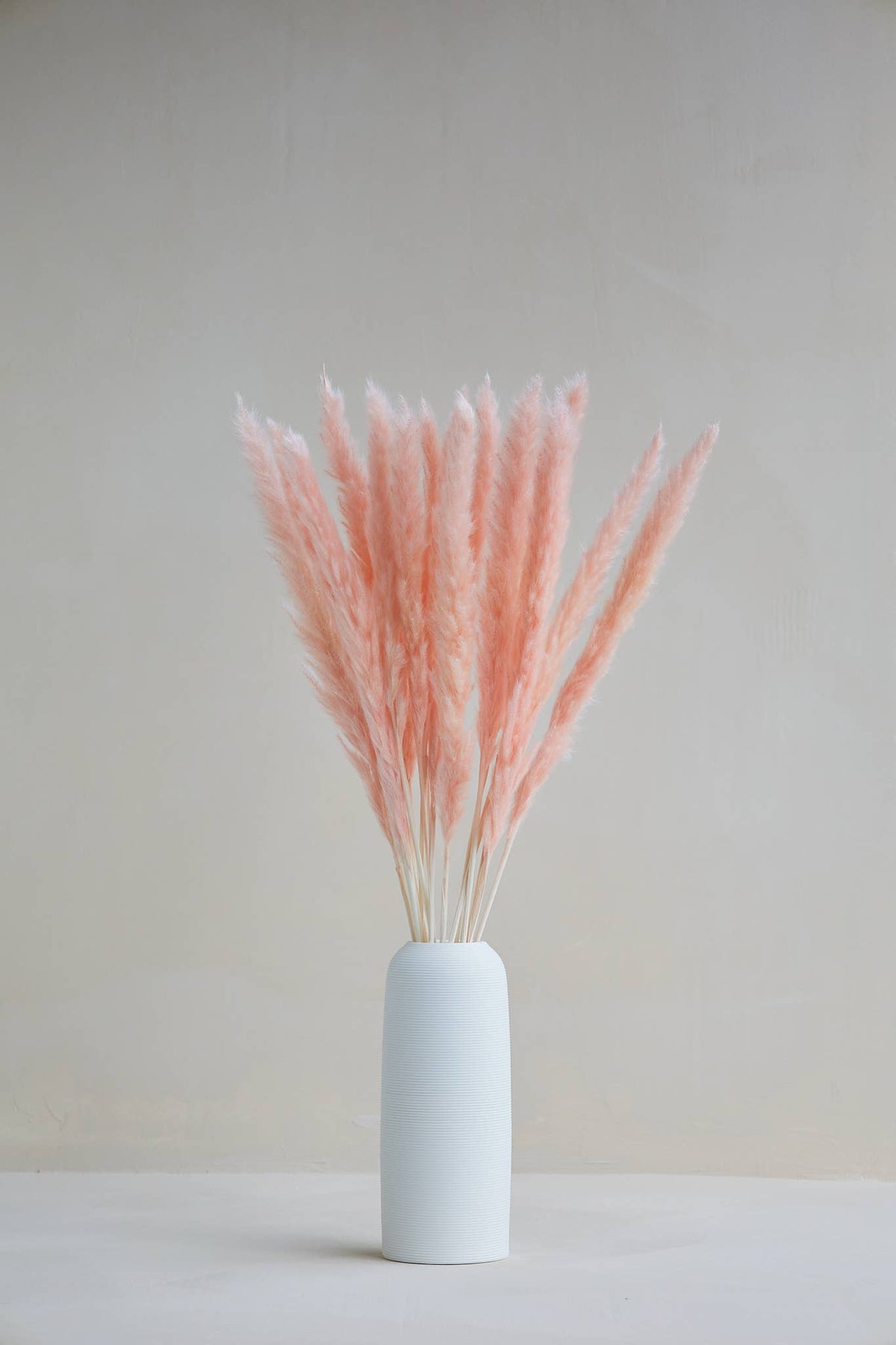 Small Pampas in Light Pink