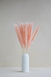 Small Pampas in Light Pink