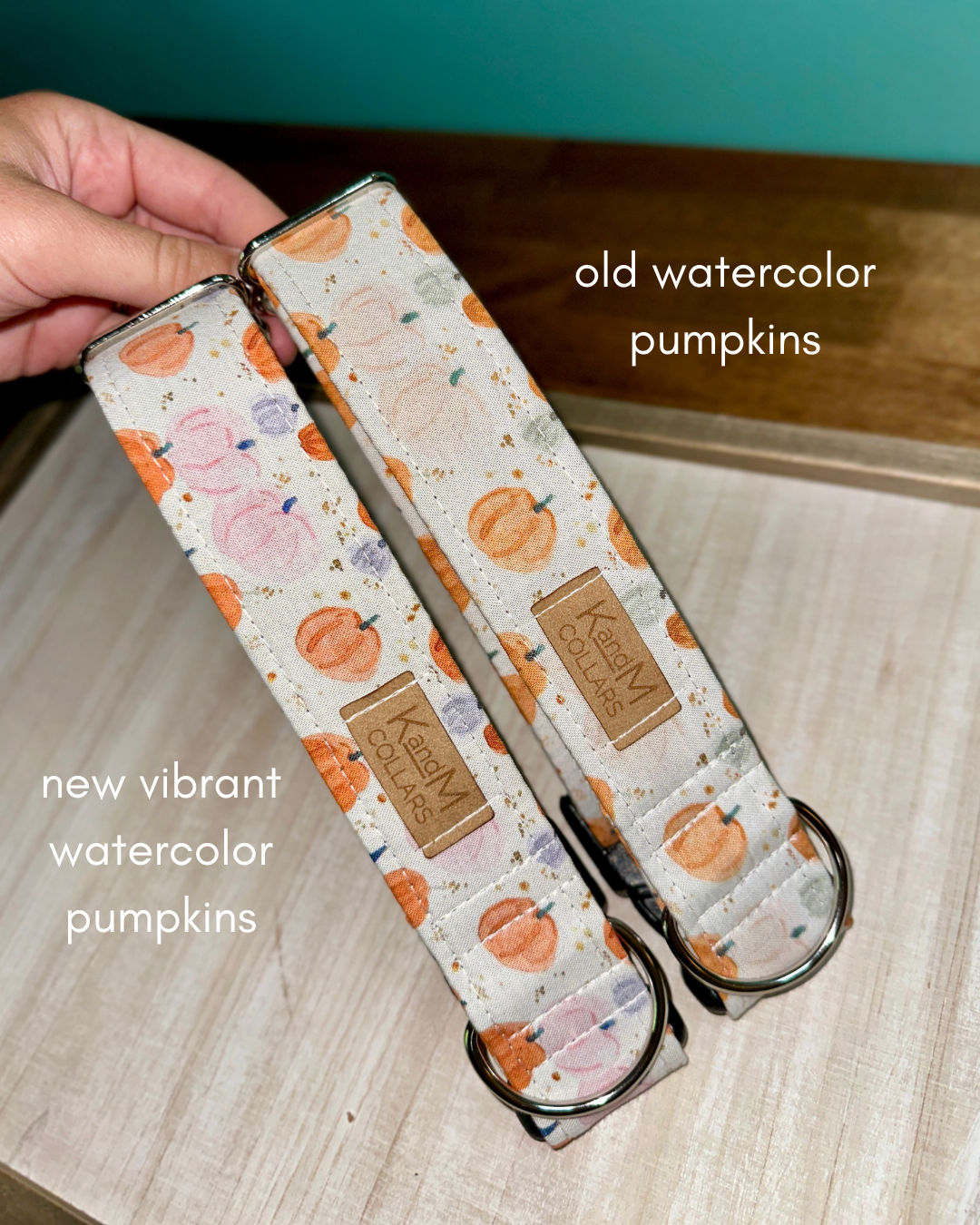 Watercolor Pumpkins Dog Collar