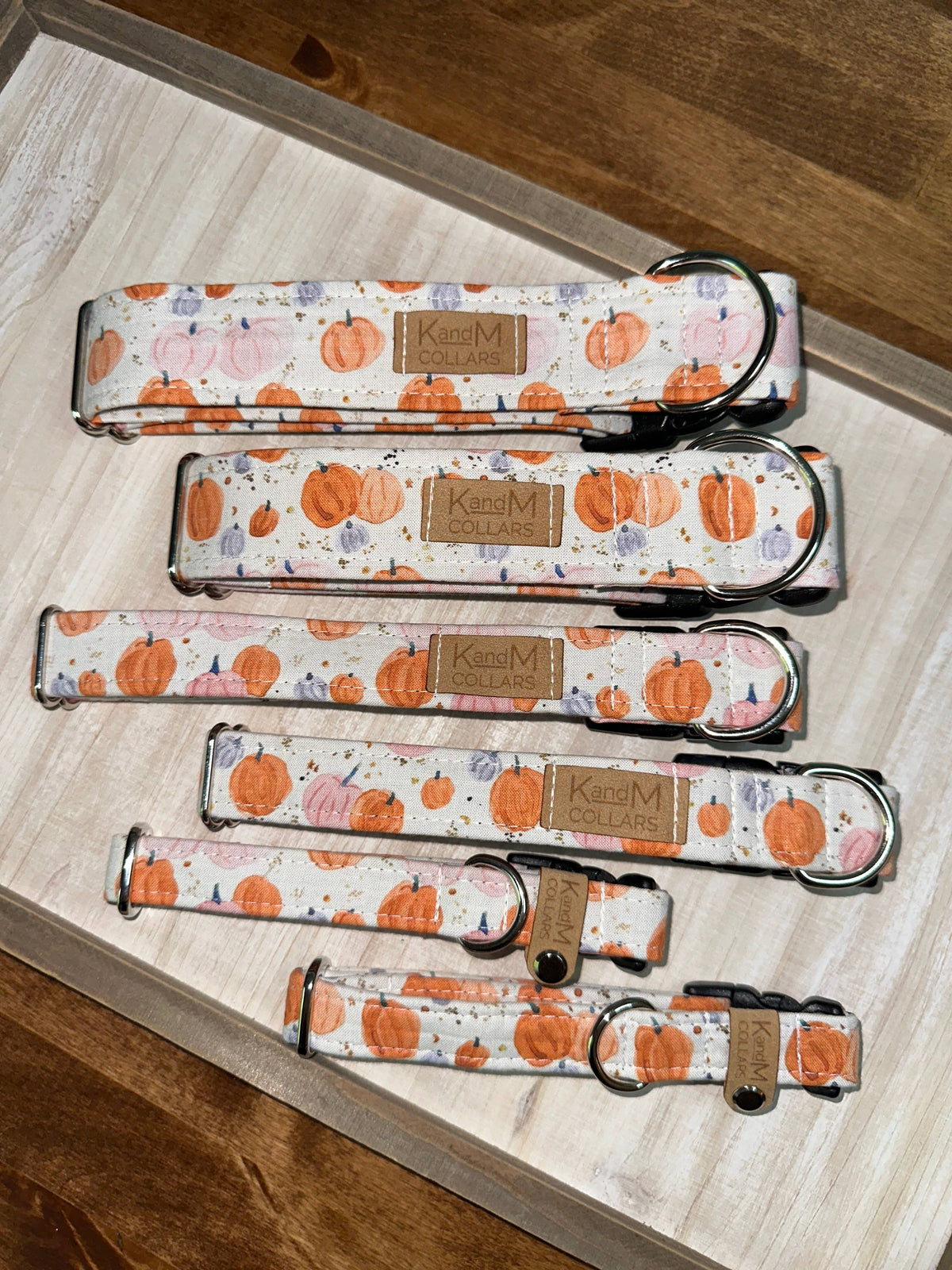 Watercolor Pumpkins Dog Collar