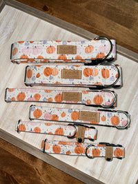 Watercolor Pumpkins Dog Collar