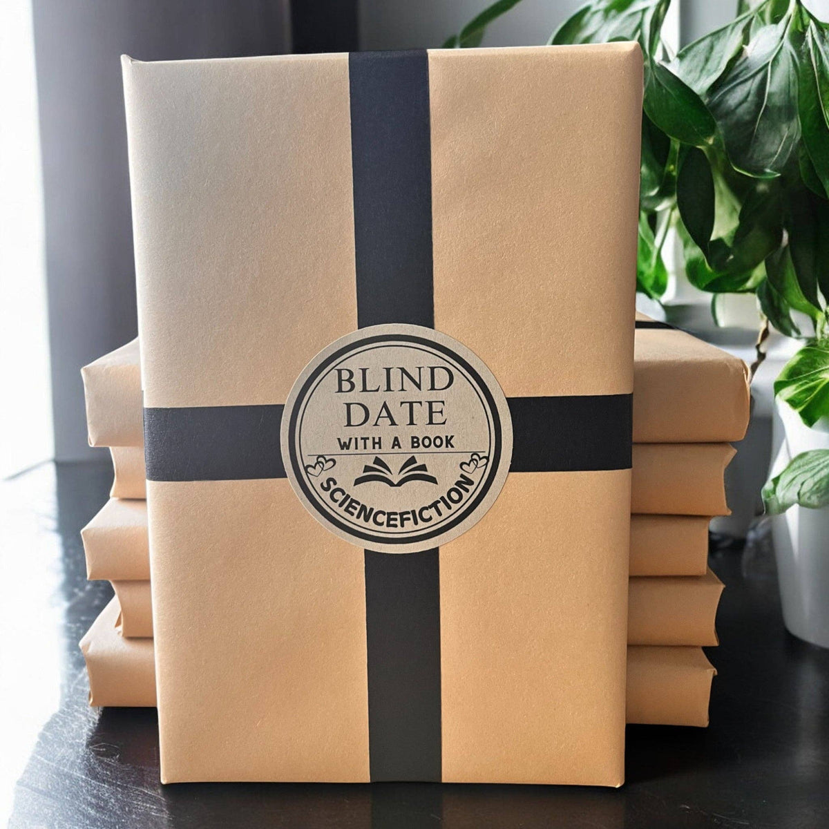 Blind Date with a Book | A Bookish Gift Adventure: Paperback / Thriller & Suspense