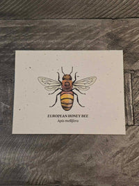 Honey Bee Plantable Card