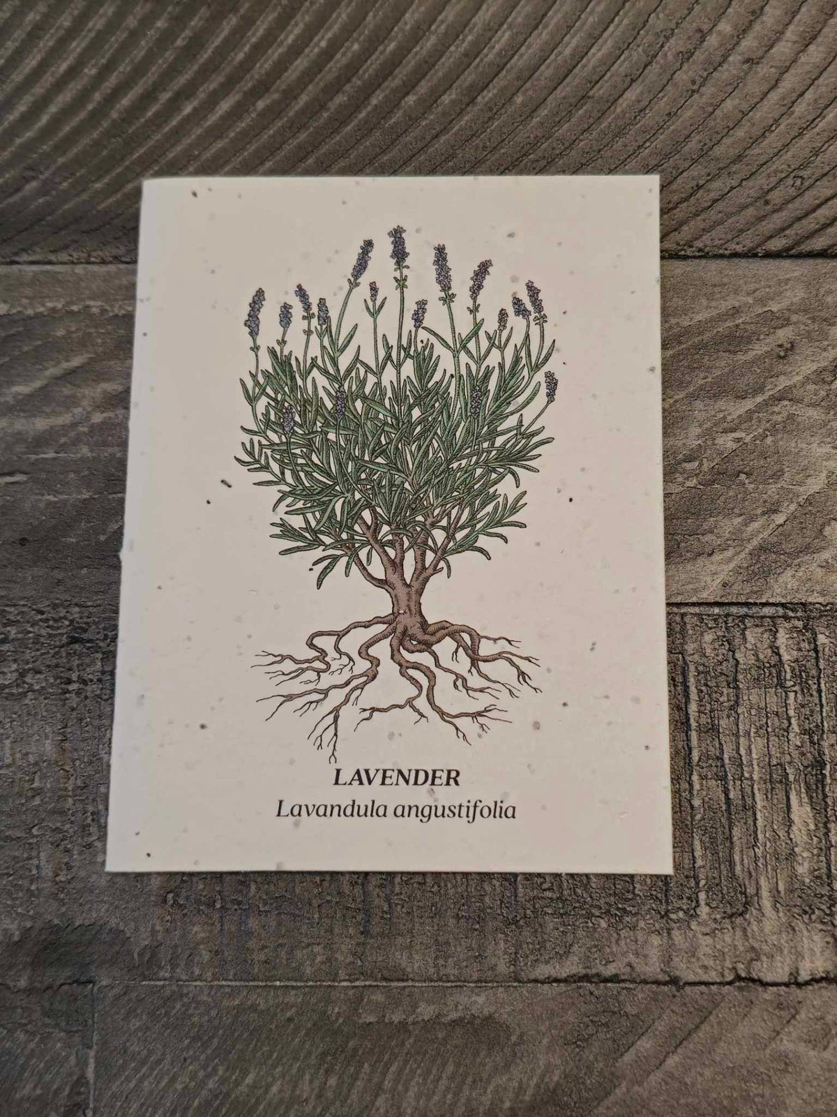 Lavender Plantable Wildflower Seed Card