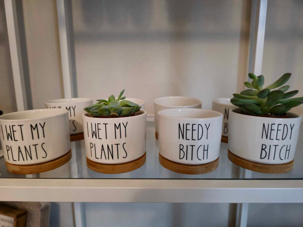 Succulent Ceramic Pots